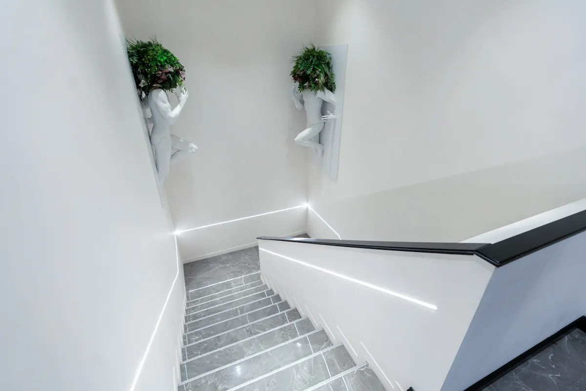 Clinica Inci Dis — Istanbul