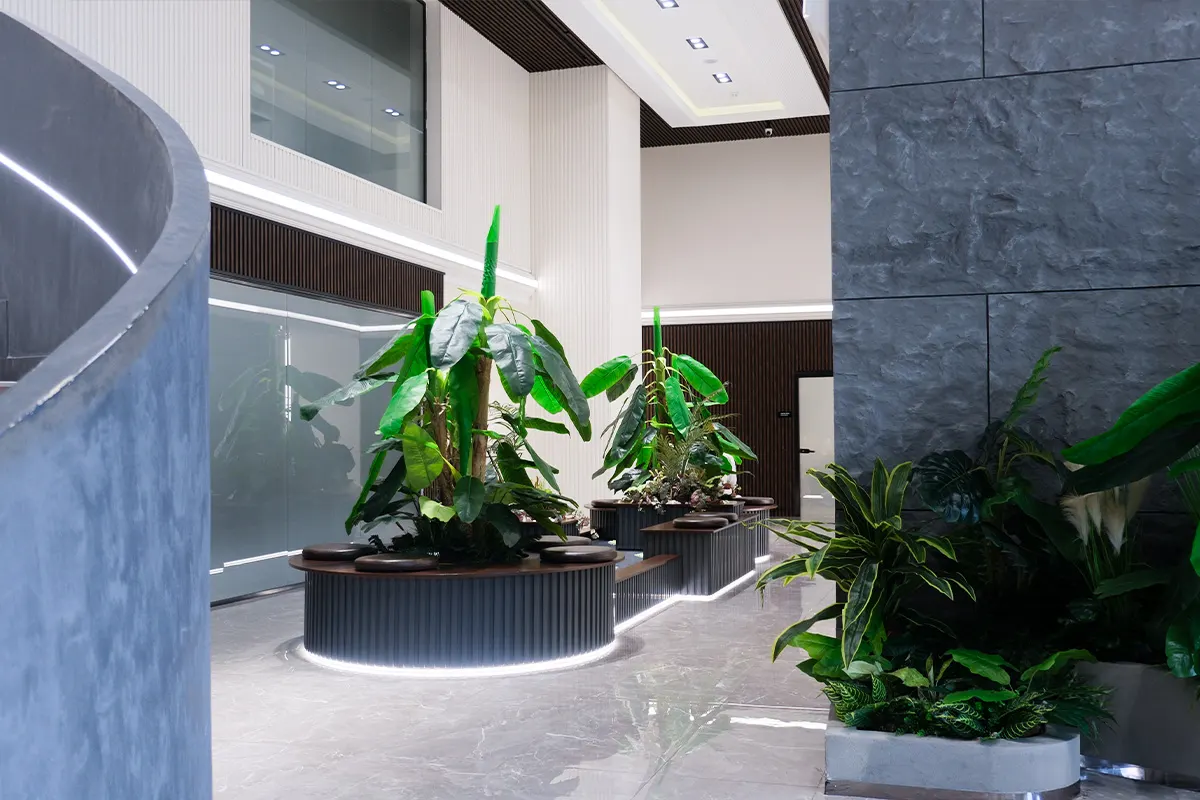 Clinica Inci Dis — Istanbul